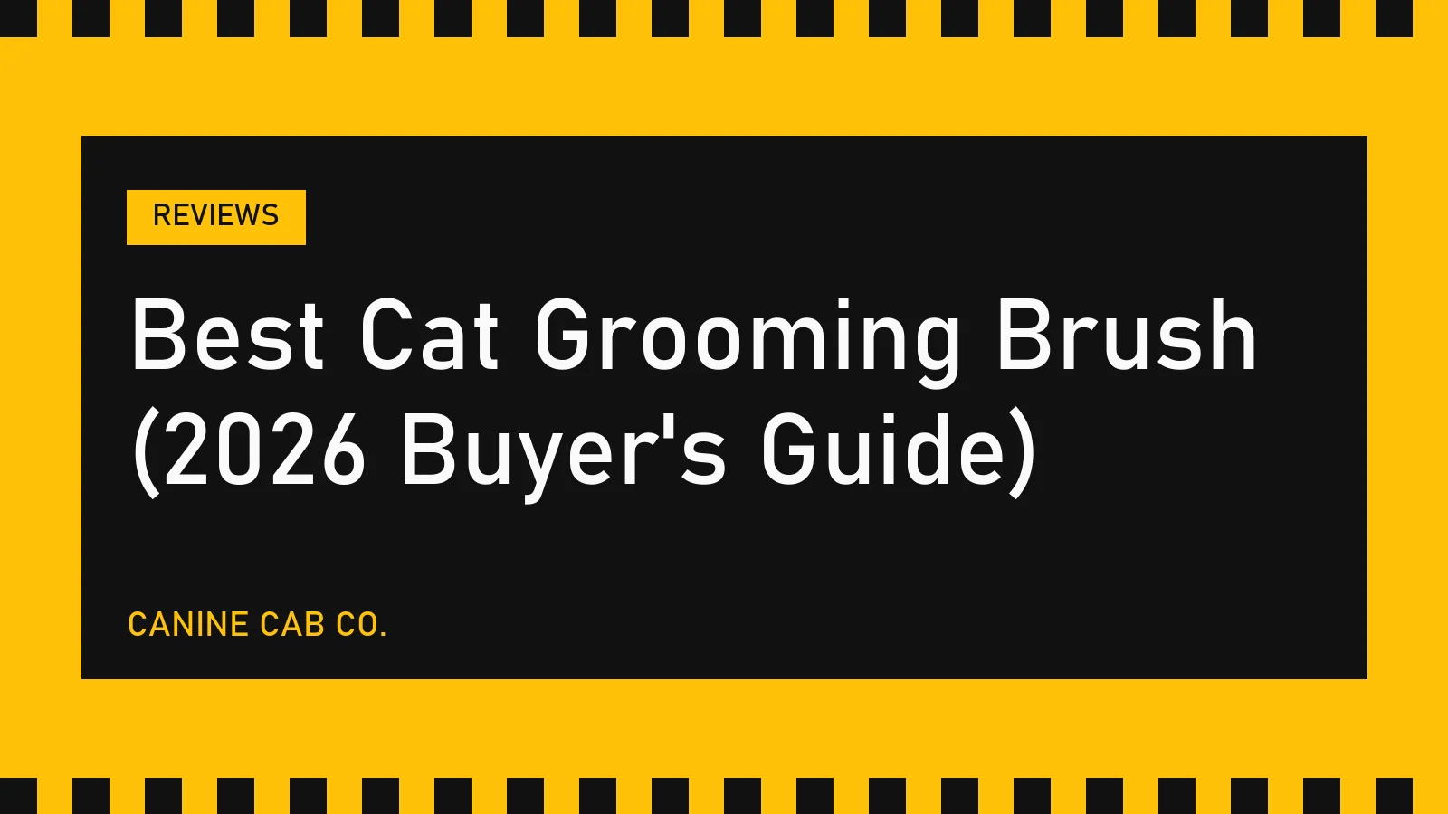 Best Cat Grooming Brush (2026 Buyer's Guide)