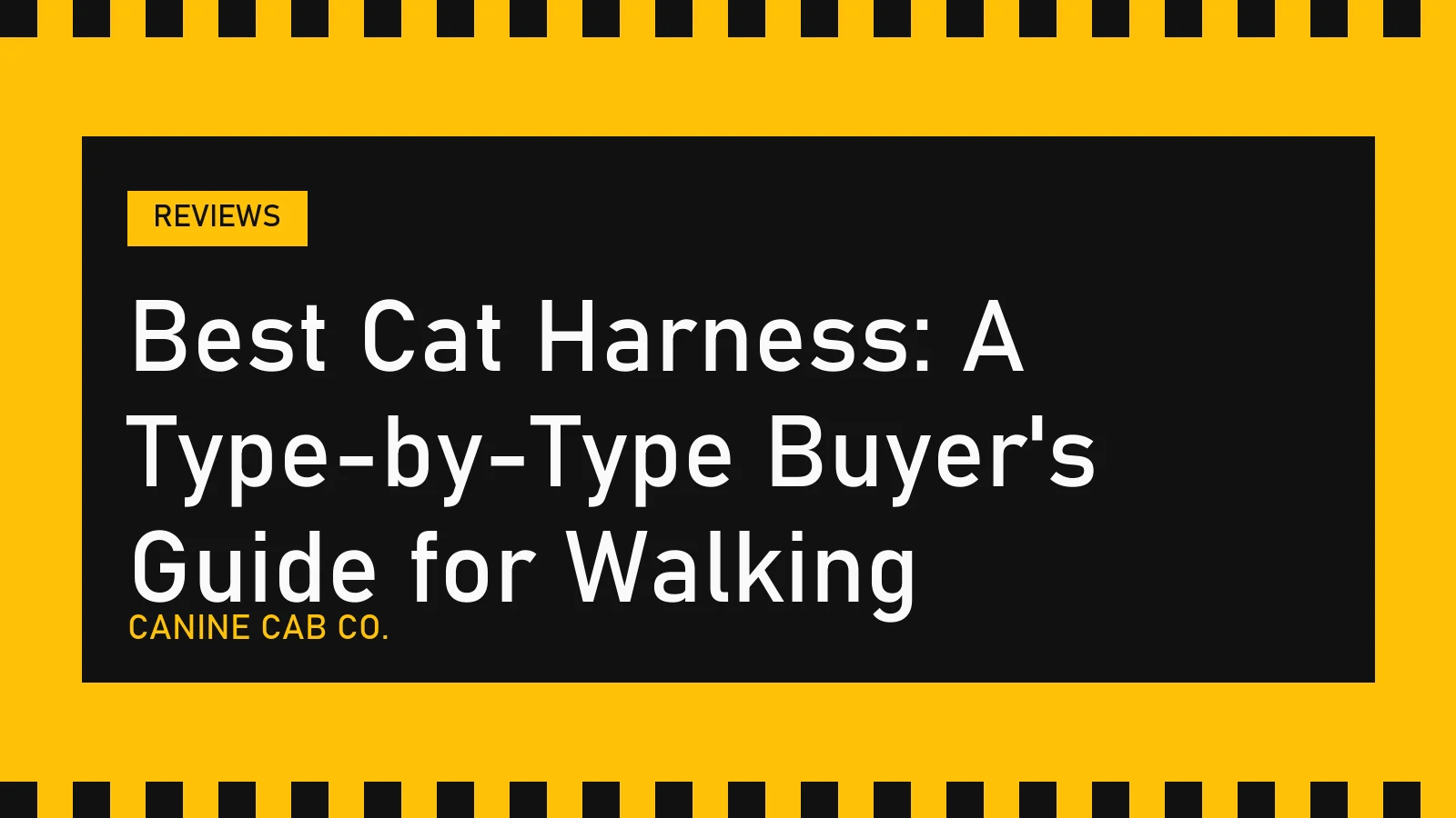Best Cat Harness: A Type-by-Type Buyer's Guide for Walking - Canine Cab Co.