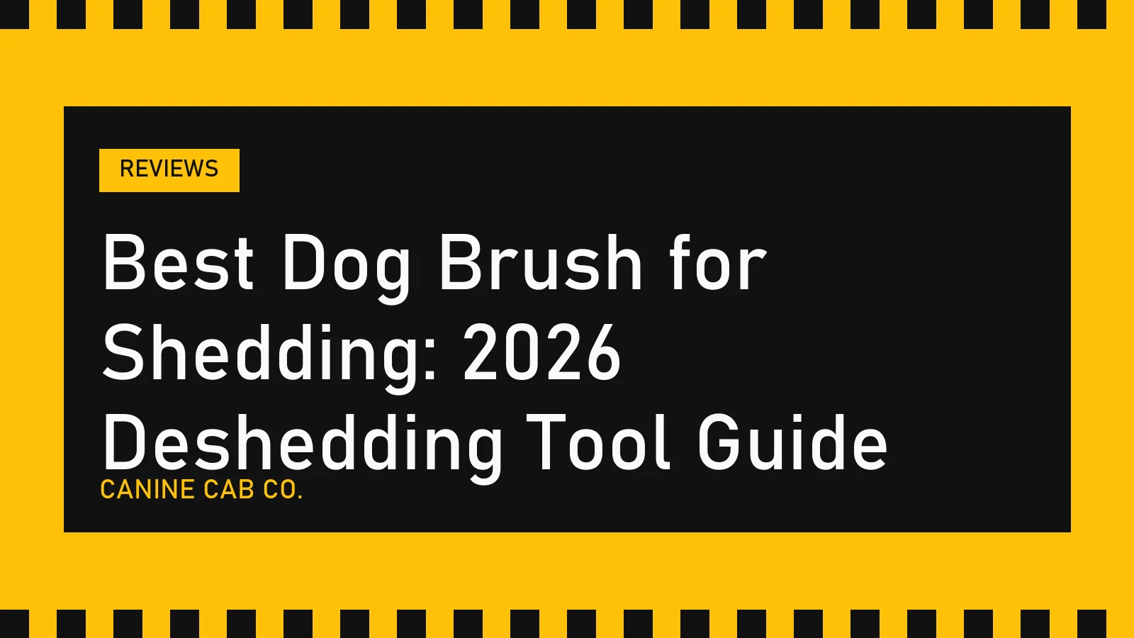 Best Dog Brush for Shedding: 2026 Deshedding Tool Guide