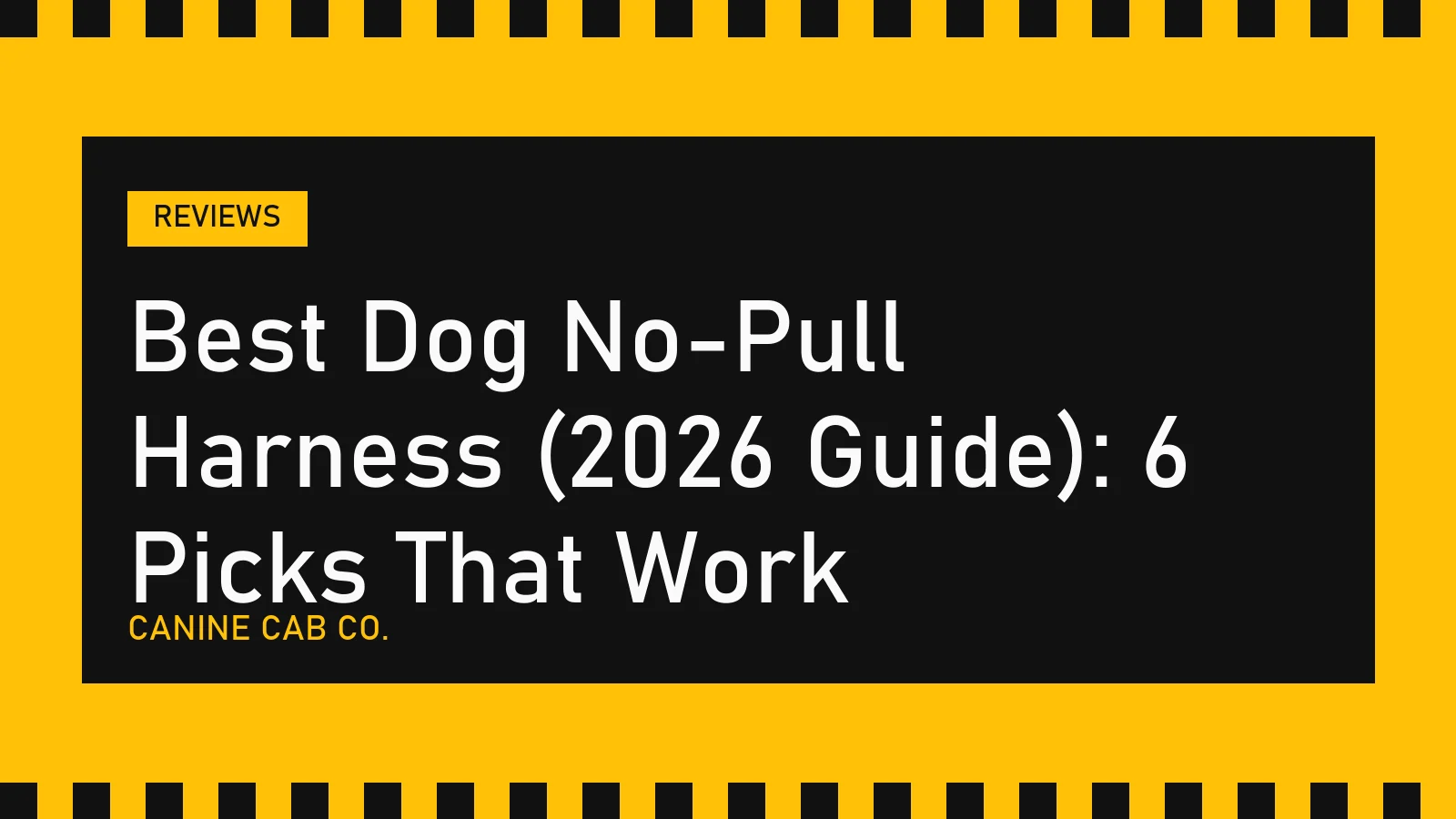 Best Dog No-Pull Harness (2026 Guide): 6 Picks That Work