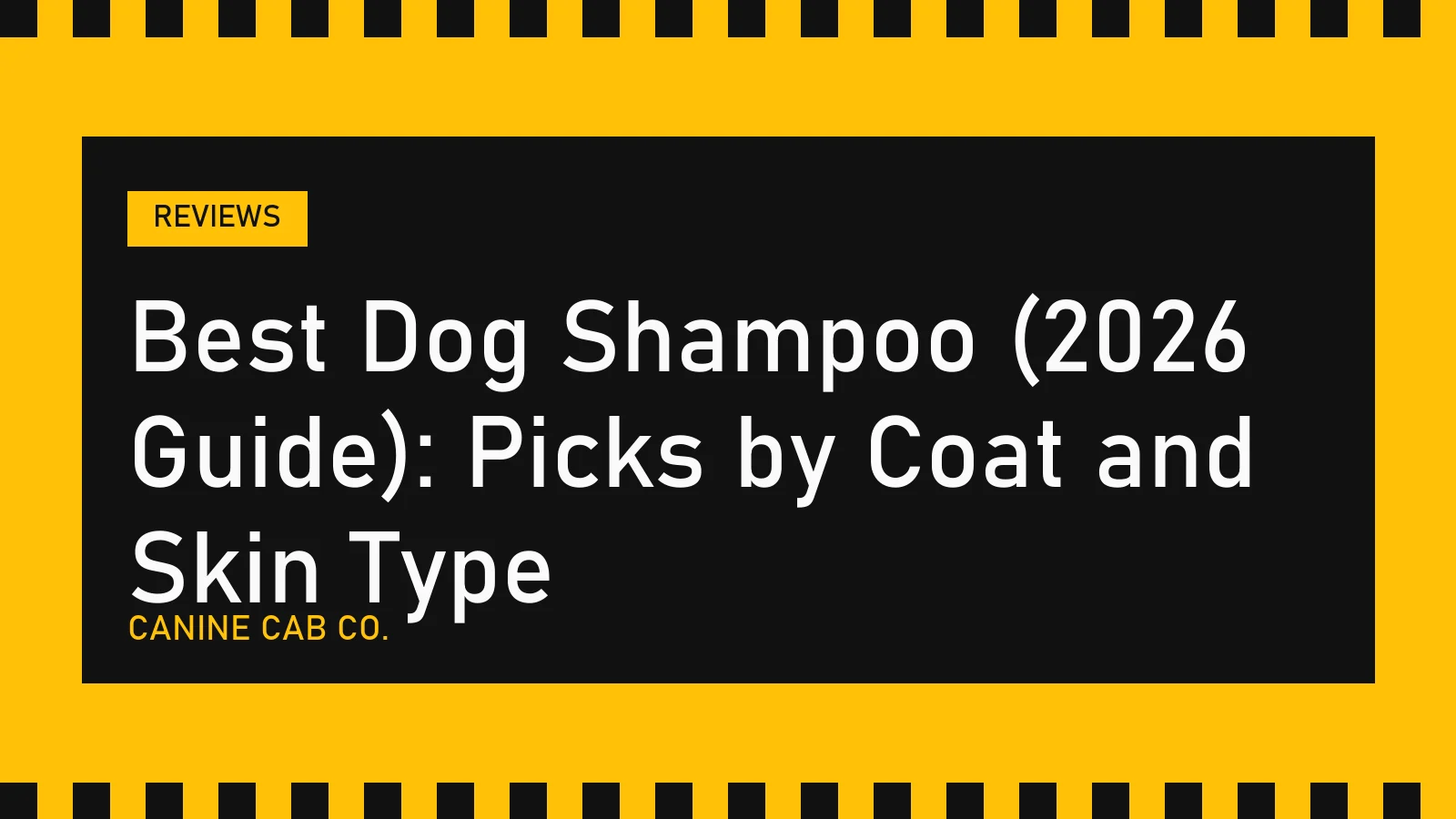 Best Dog Shampoo (2026 Guide): Picks by Coat and Skin Type