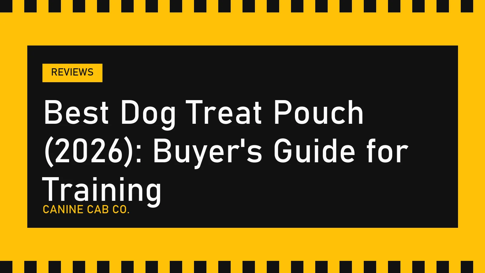 Best Dog Treat Pouch (2026): Buyer's Guide for Training - Canine Cab Co.