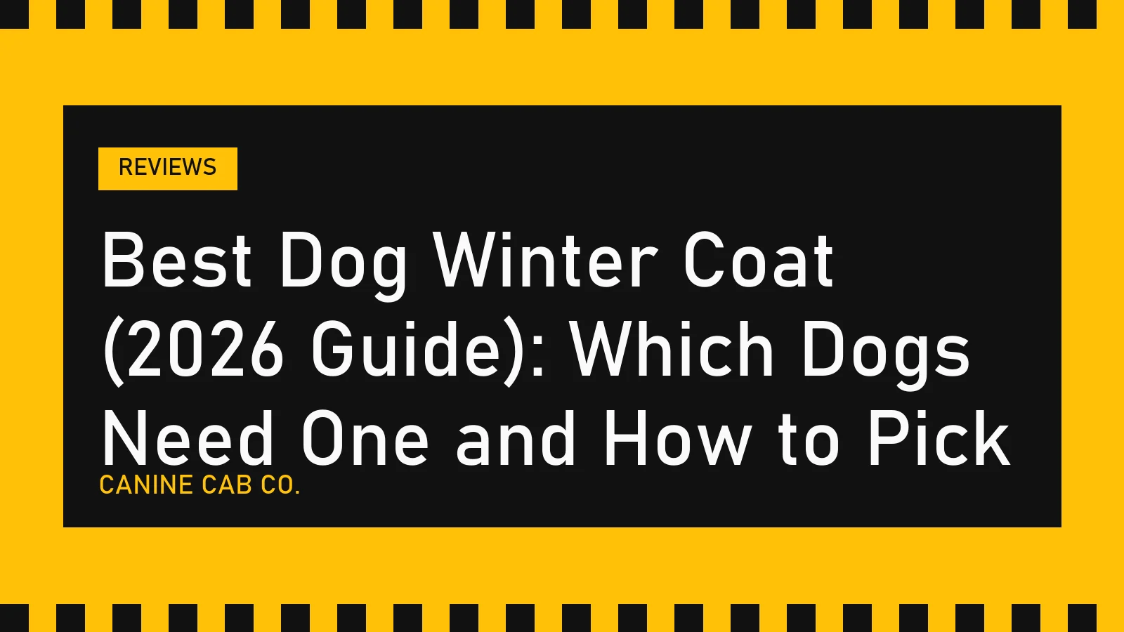 Best Dog Winter Coat (2026 Guide): Which Dogs Need One and How to Pick
