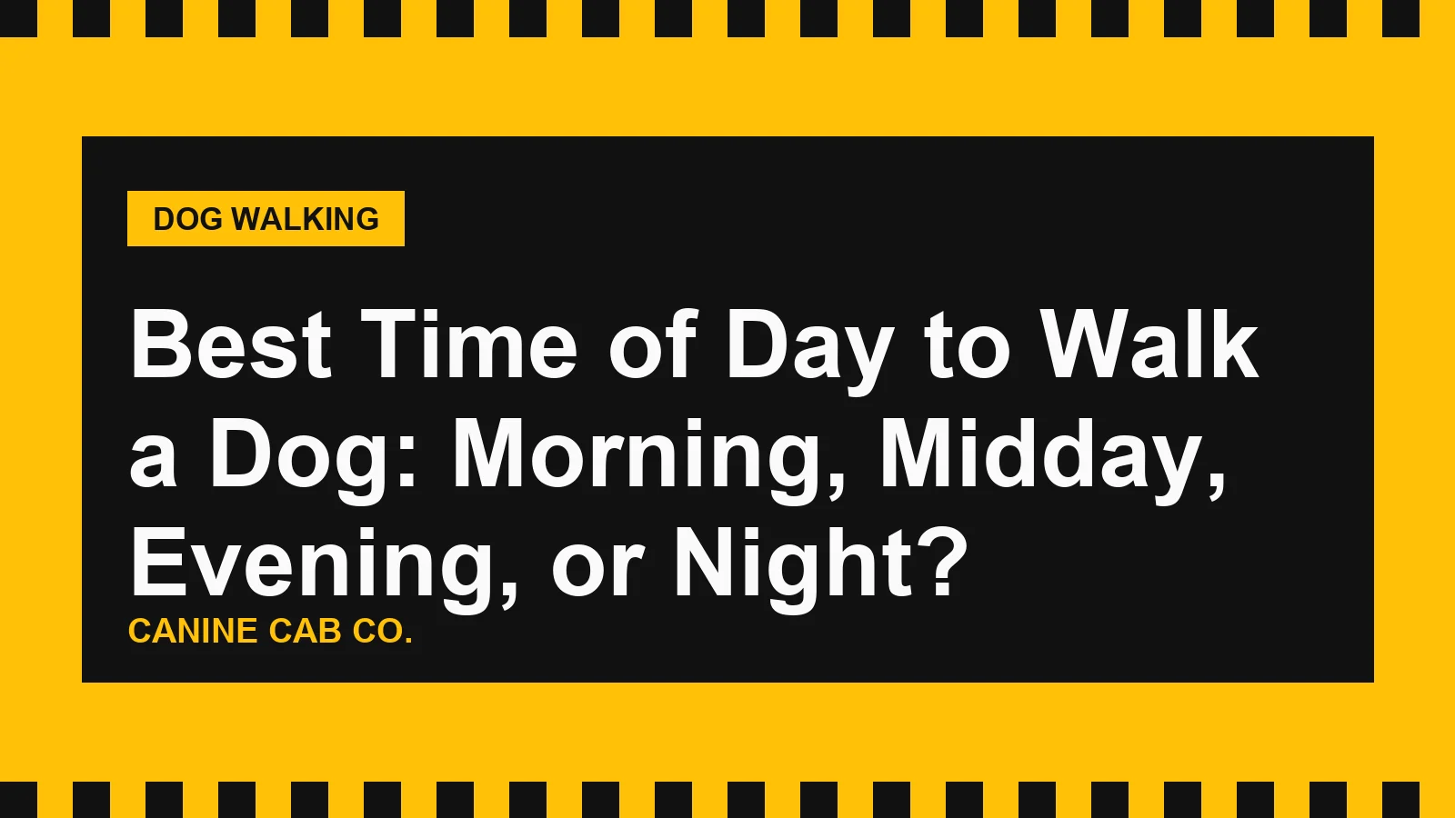 Best Time of Day to Walk a Dog: Morning, Midday, Evening, or Night?