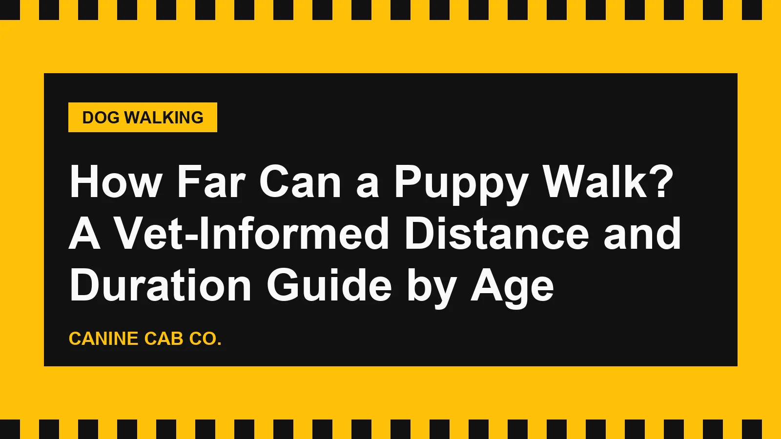 How Far Can a Puppy Walk? A Vet-Informed Distance and Duration Guide by Age