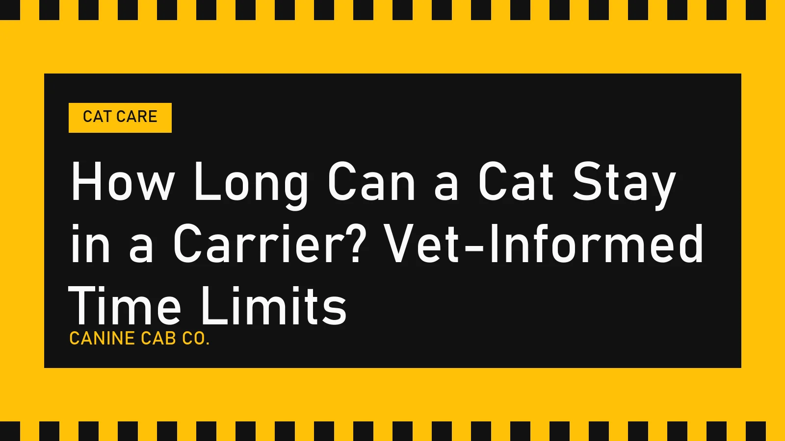 How Long Can a Cat Stay in a Carrier? Vet-Informed Time Limits