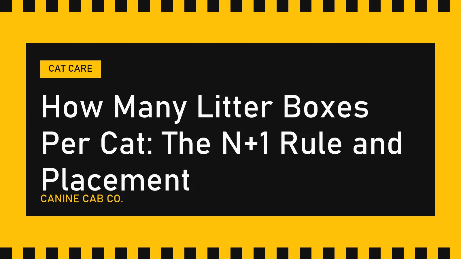 How Many Litter Boxes Per Cat: The N+1 Rule and Placement