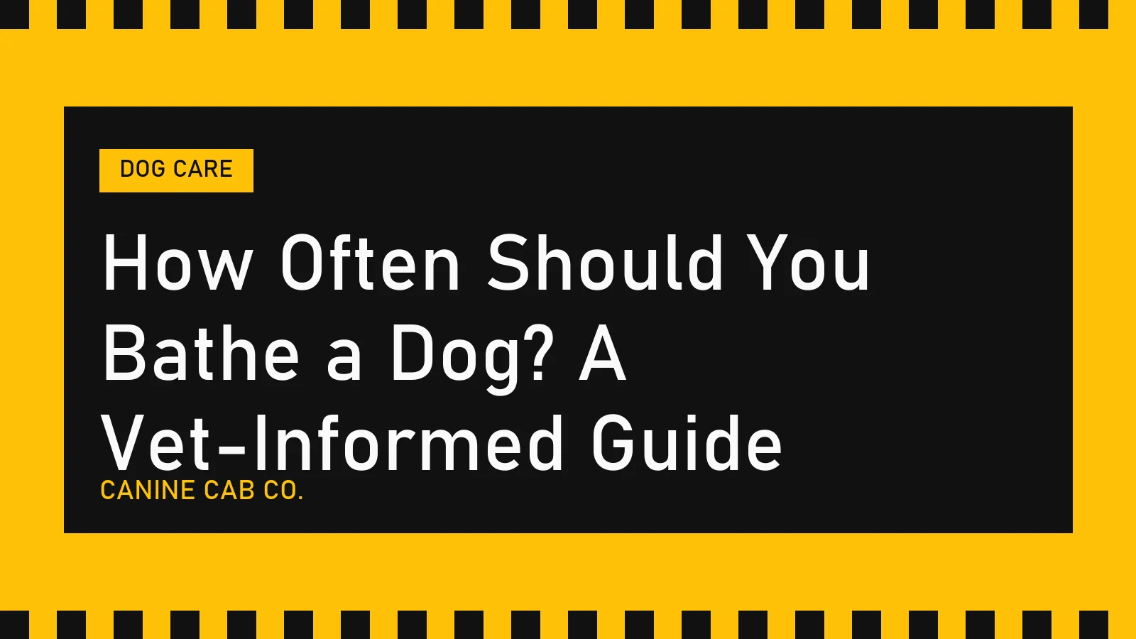 How Often Should You Bathe a Dog? A Vet-Informed Guide