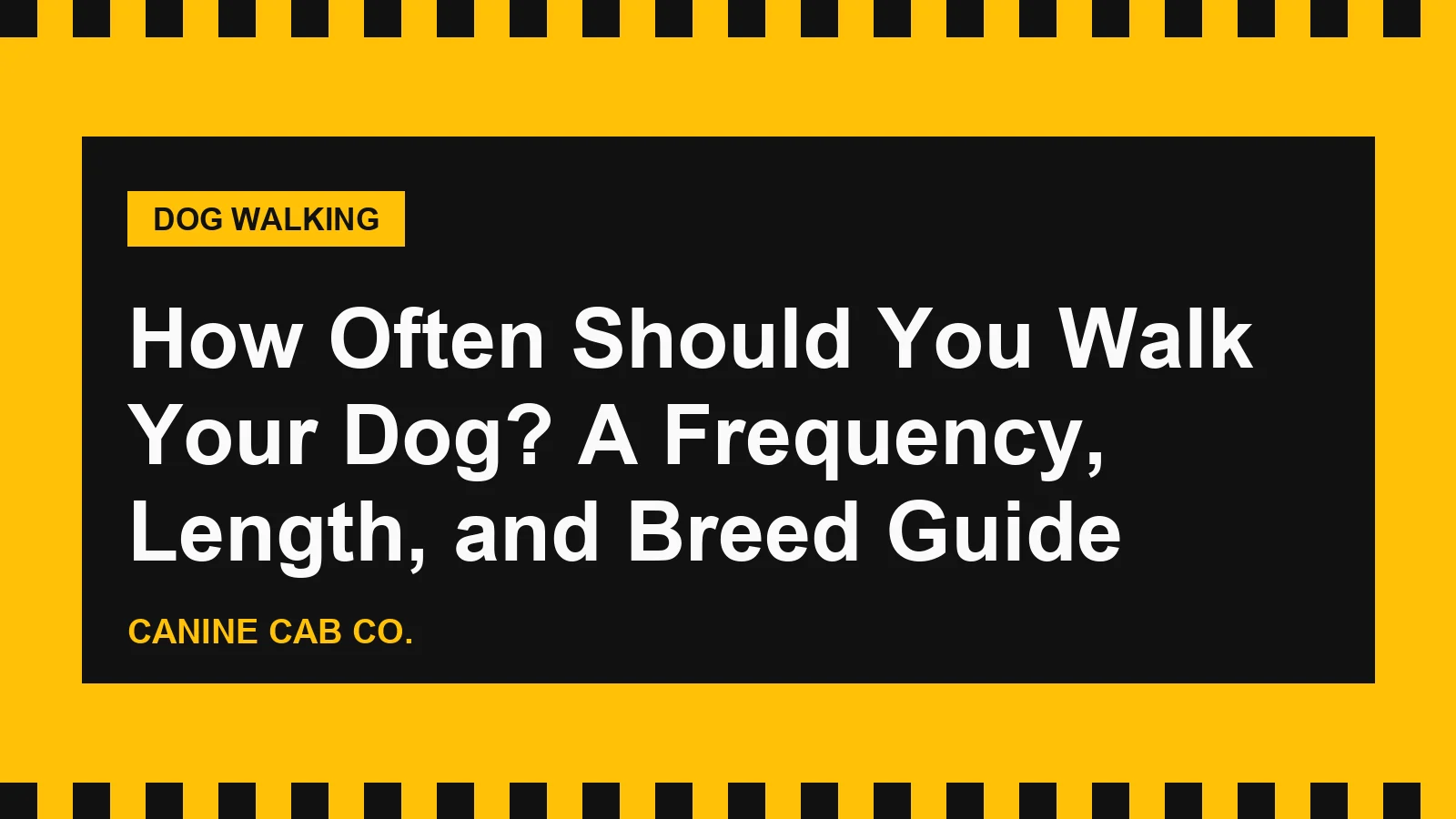 How Often Should You Walk Your Dog? A Frequency, Length, and Breed Guide