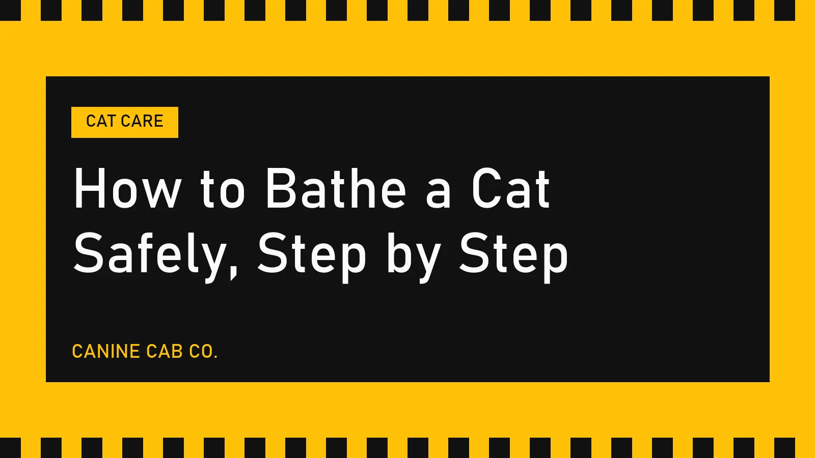 How to Bathe a Cat Safely, Step by Step