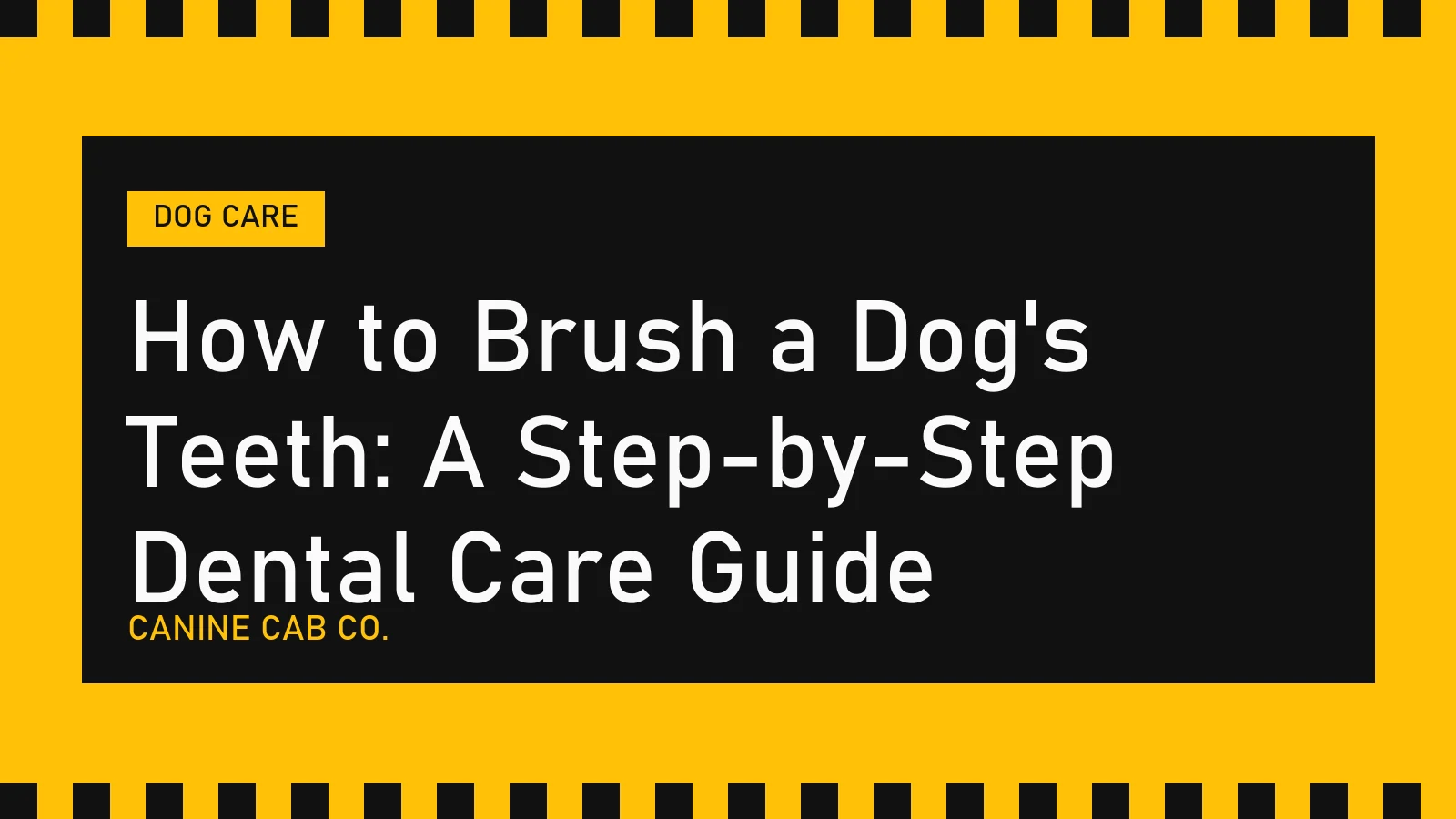 How to Brush a Dog's Teeth: A Step-by-Step Dental Care Guide