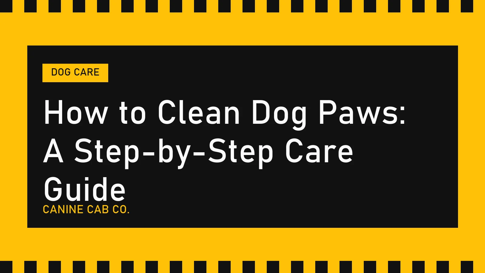 How to Clean Dog Paws: A Step-by-Step Care Guide