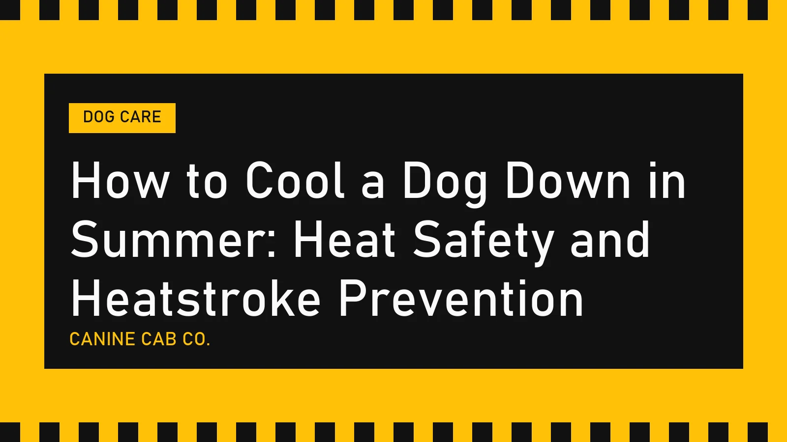 How to Cool a Dog Down in Summer: Heat Safety and Heatstroke Prevention