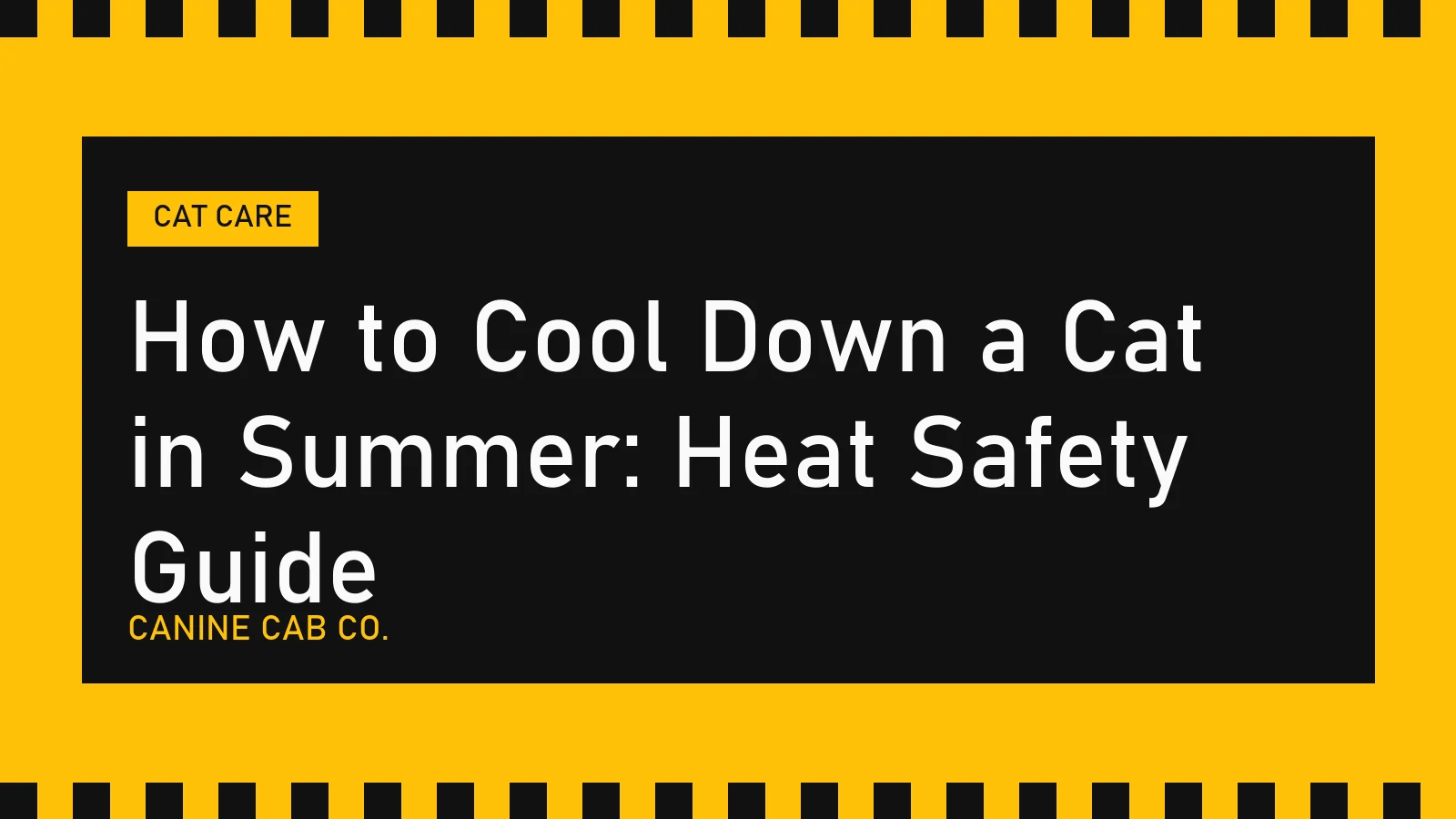 How to Cool Down a Cat in Summer: Heat Safety Guide