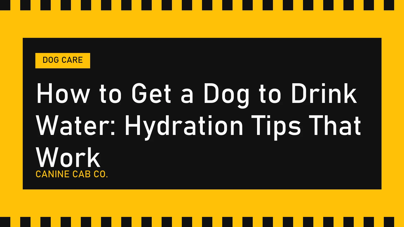 How to Get a Dog to Drink Water: Hydration Tips That Work