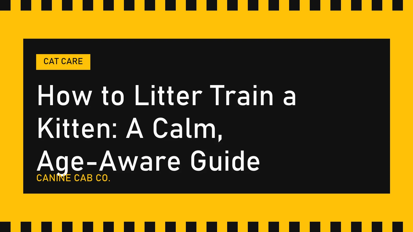 How to Litter Train a Kitten: A Calm, Age-Aware Guide