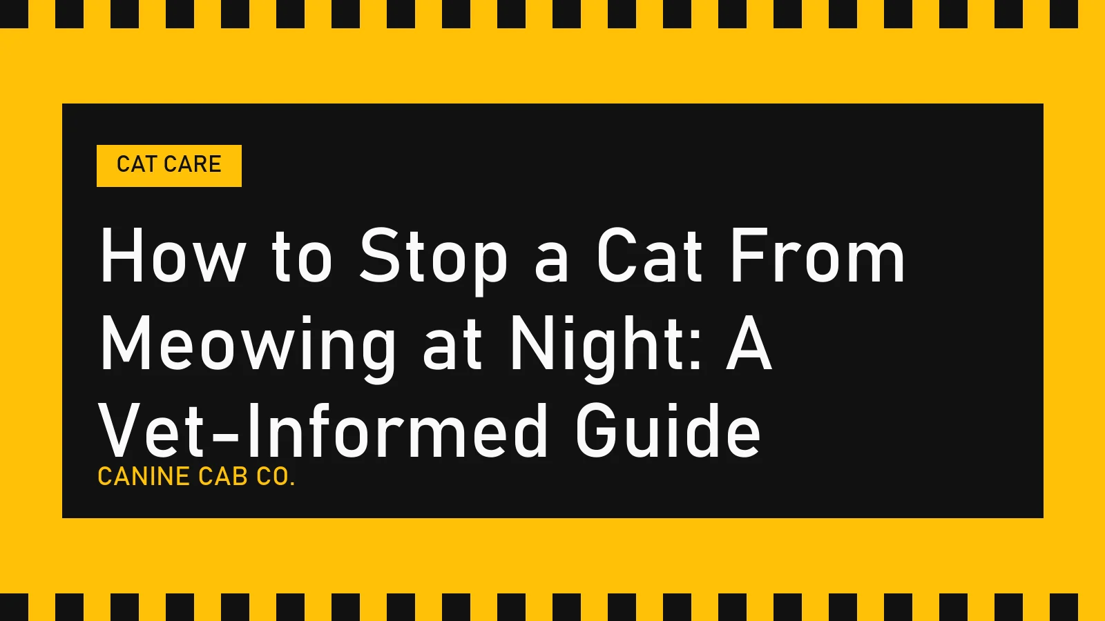How to Stop a Cat From Meowing at Night: A Vet-Informed Guide