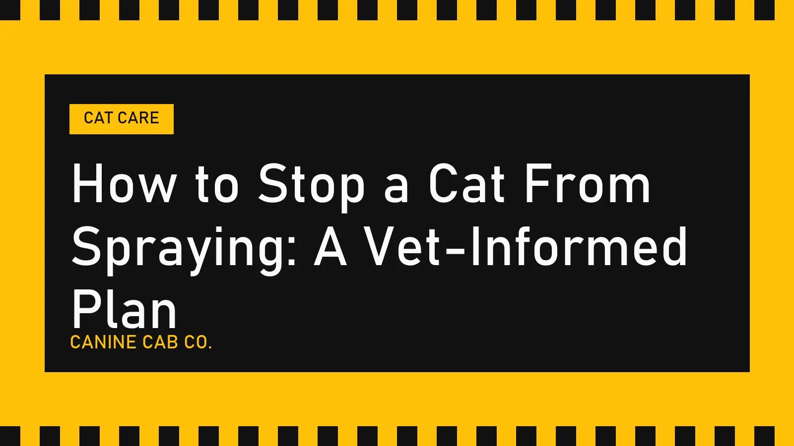 How to Stop a Cat From Spraying: A Vet-Informed Plan