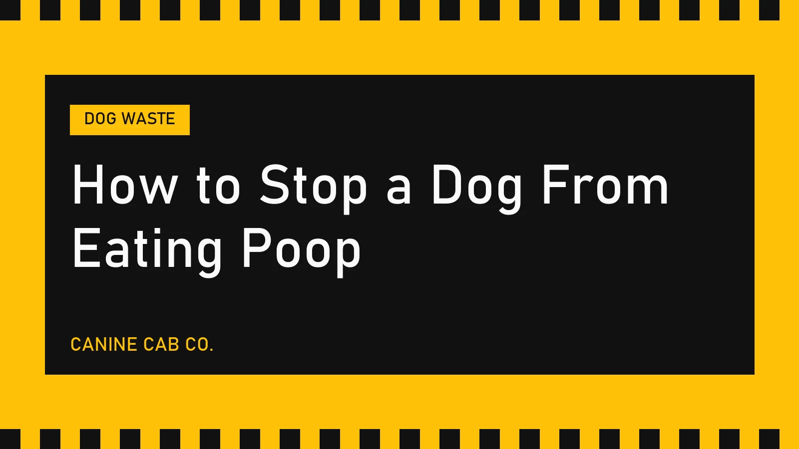 How to Stop a Dog From Eating Poop