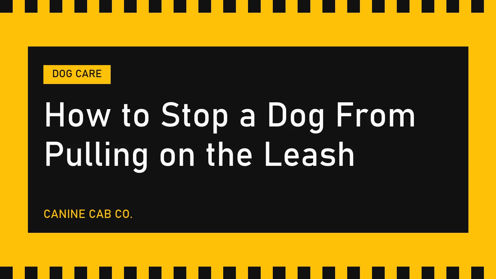 How to Stop a Dog From Pulling on the Leash