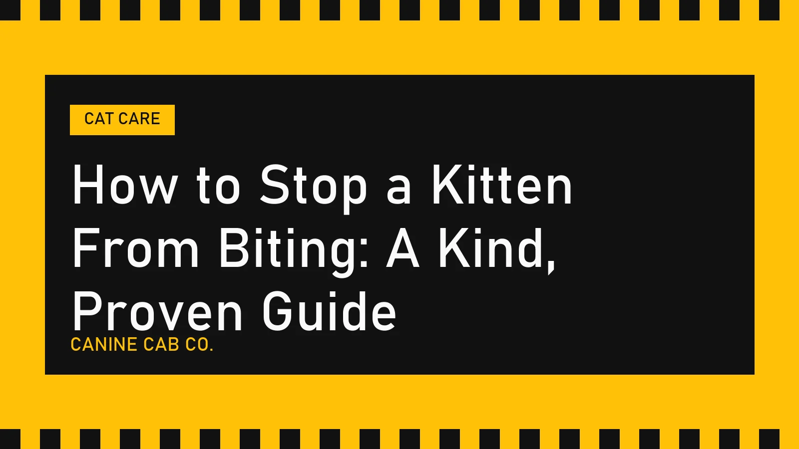 How to Stop a Kitten From Biting: A Kind, Proven Guide