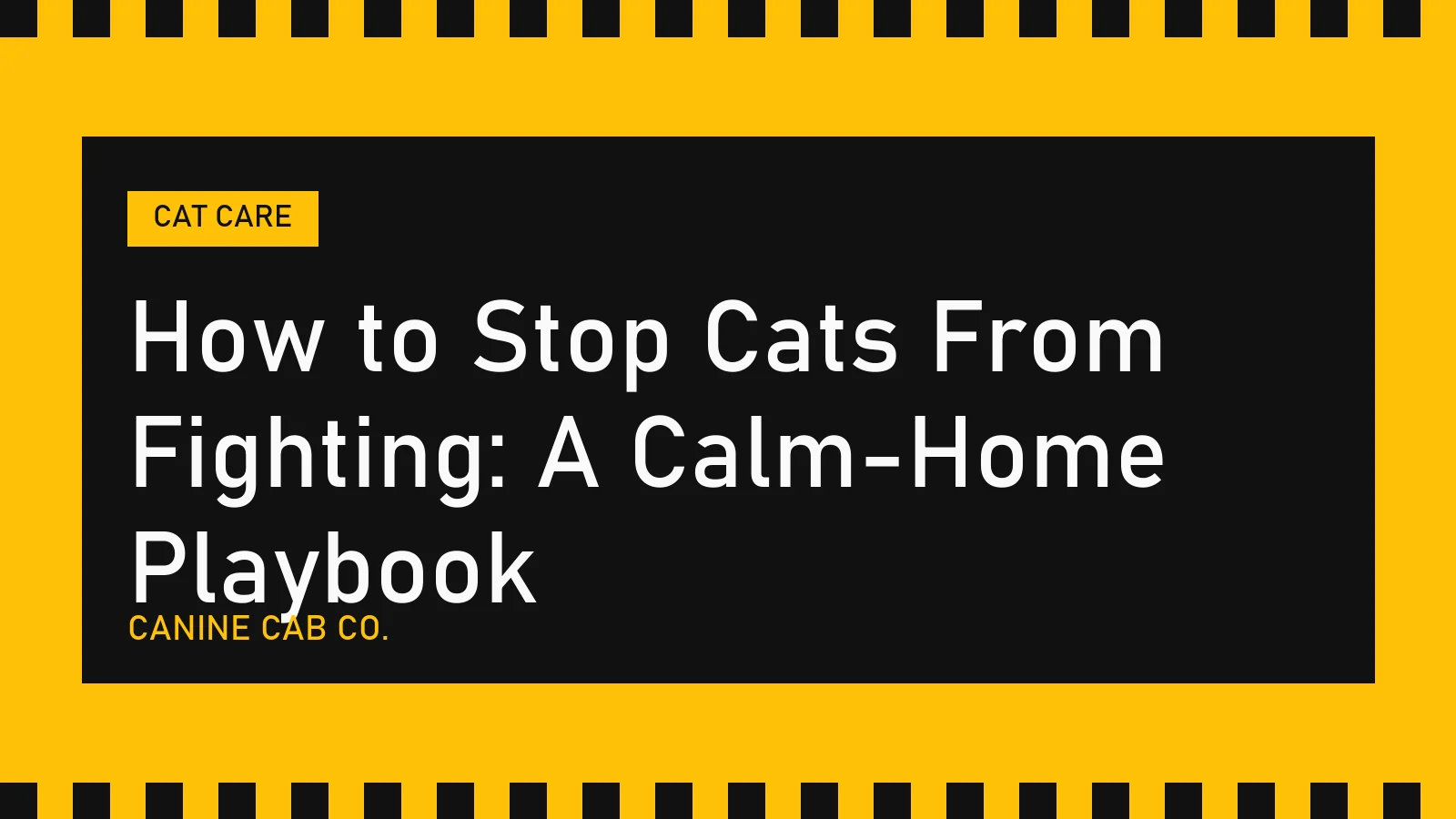 How to Stop Cats From Fighting: A Calm-Home Playbook