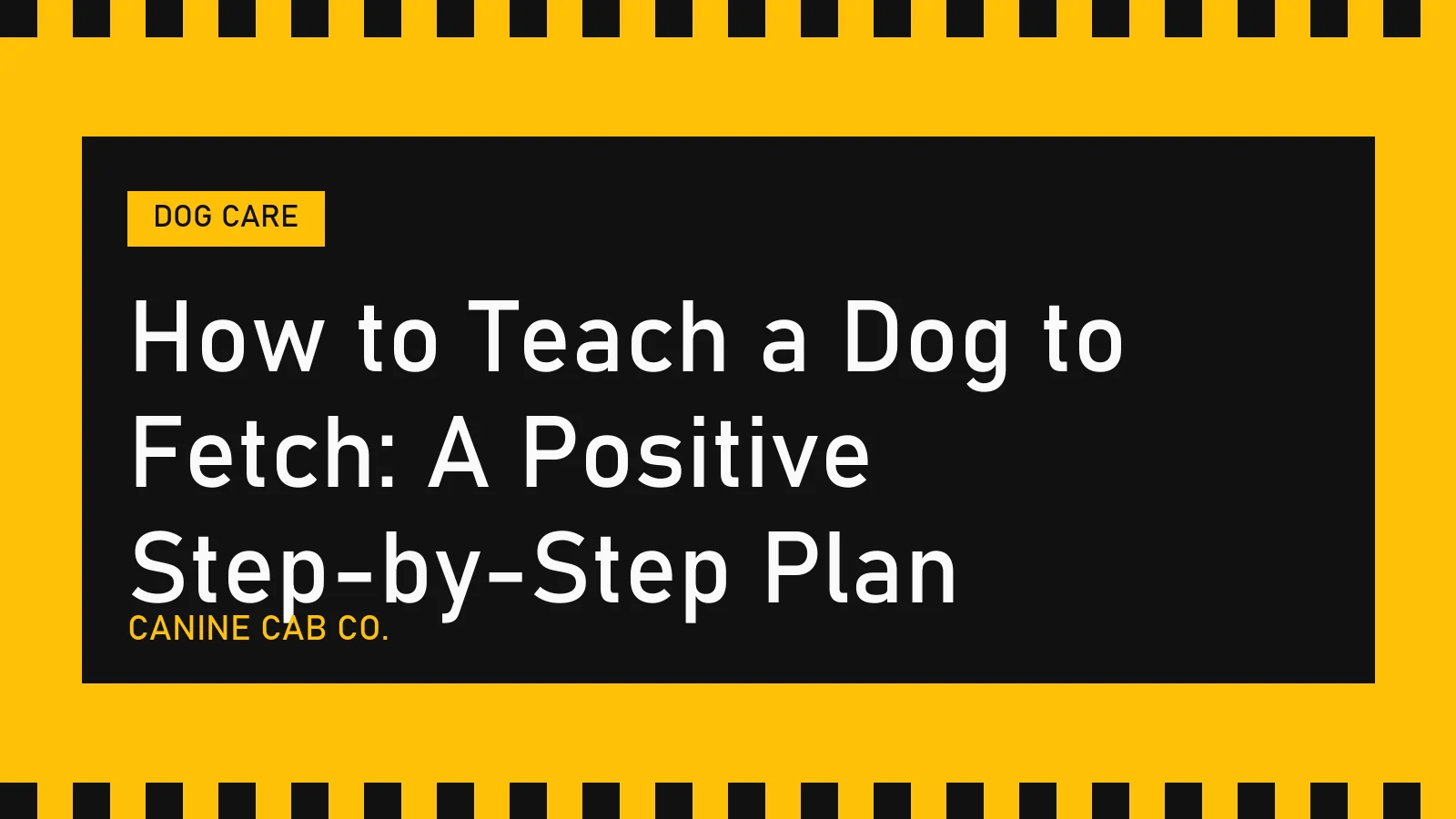 How to Teach a Dog to Fetch: A Positive Step-by-Step Plan