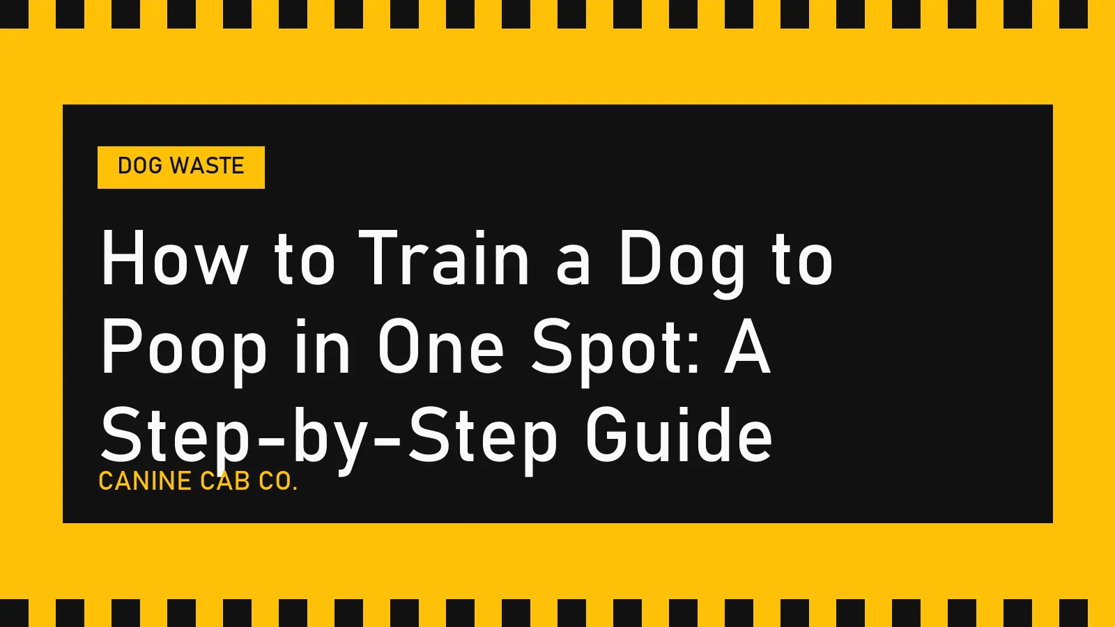 How to Train a Dog to Poop in One Spot: A Step-by-Step Guide