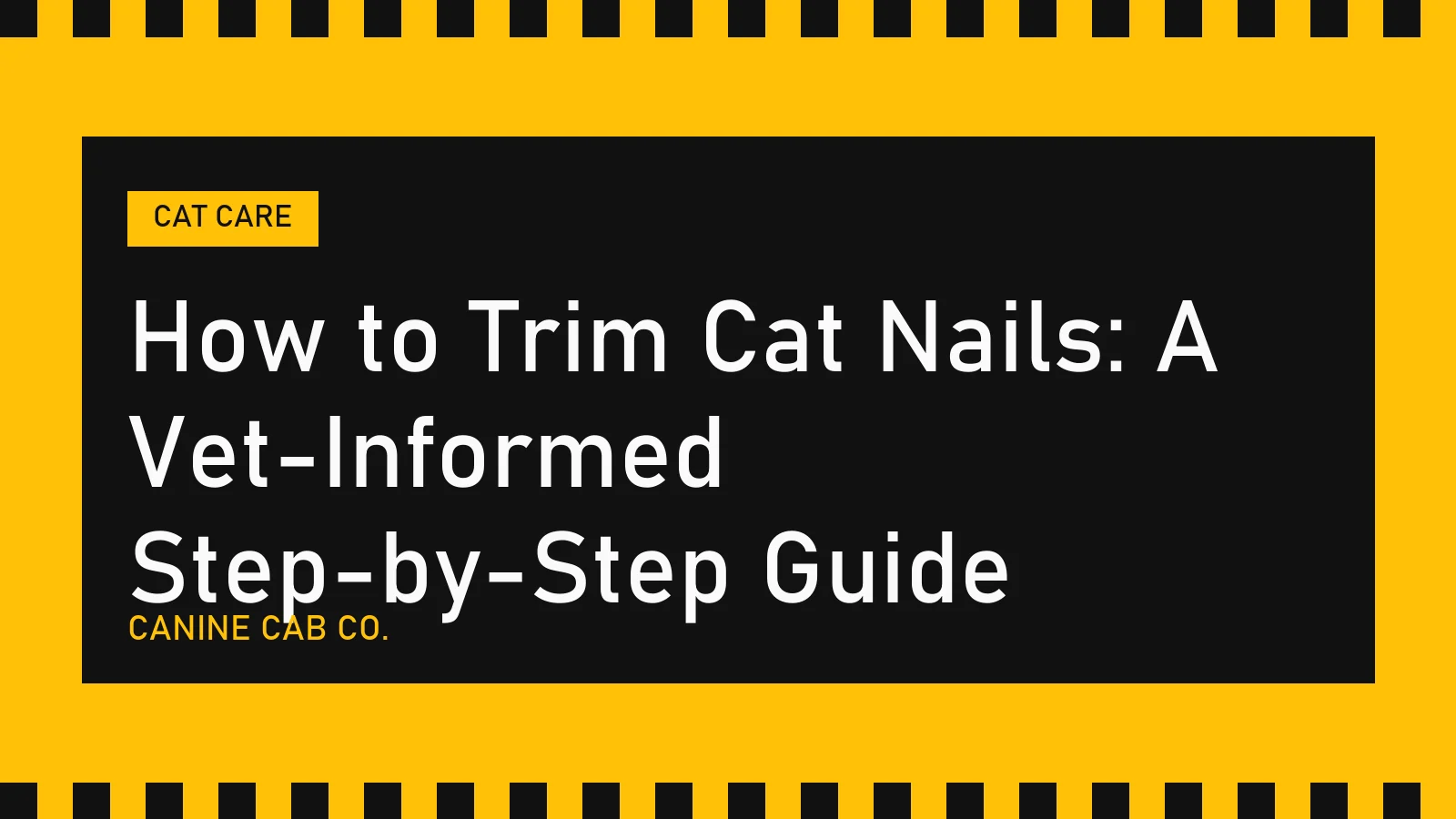 How to Trim Cat Nails: A Vet-Informed Step-by-Step Guide