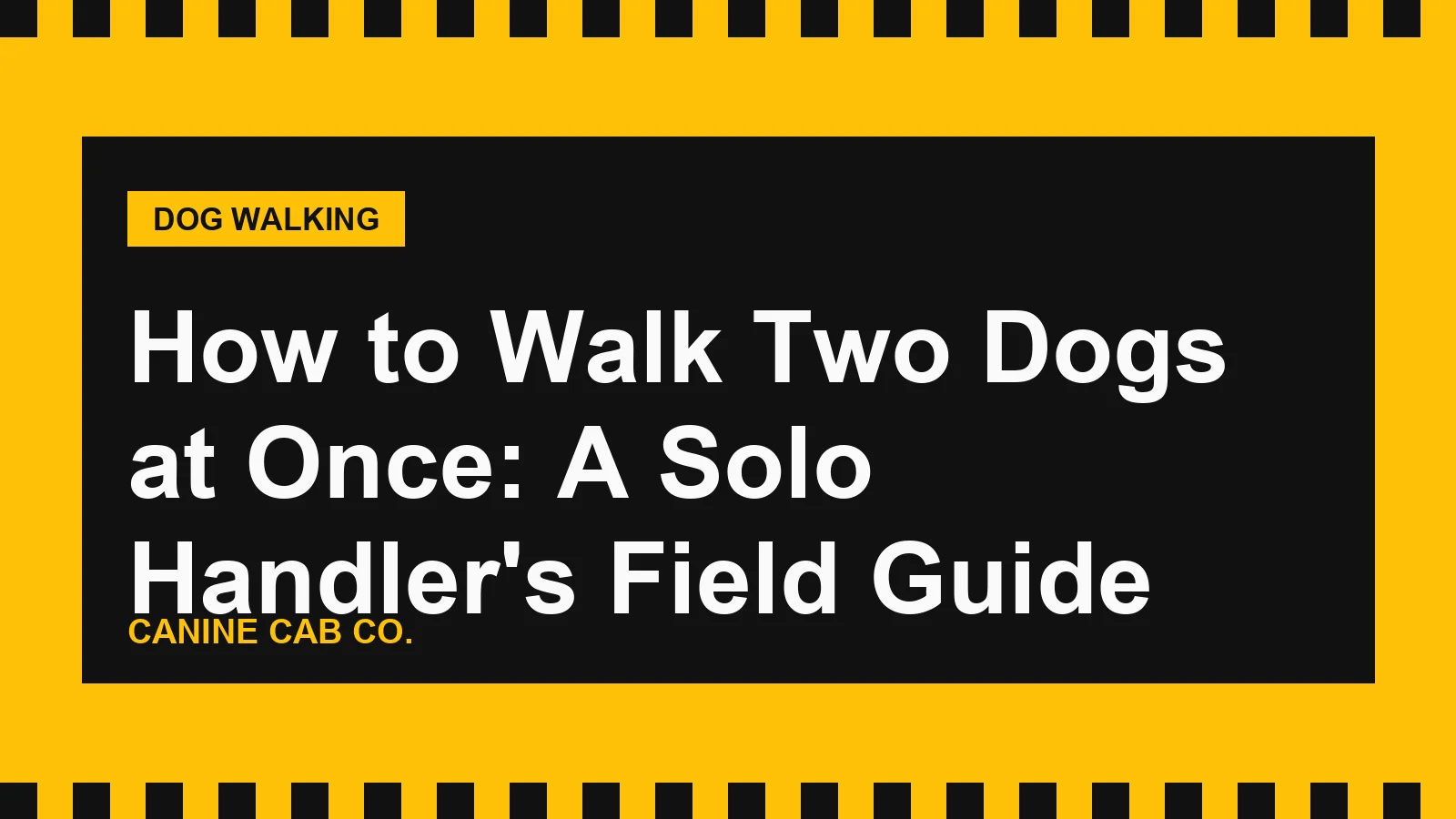 How to Walk Two Dogs at Once: A Solo Handler's Field Guide