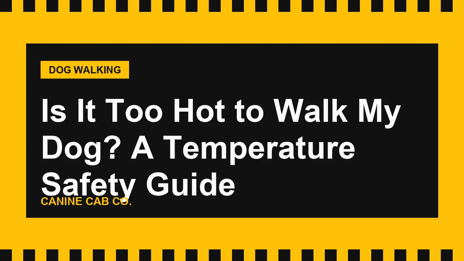 Is It Too Hot to Walk My Dog? A Temperature Safety Guide