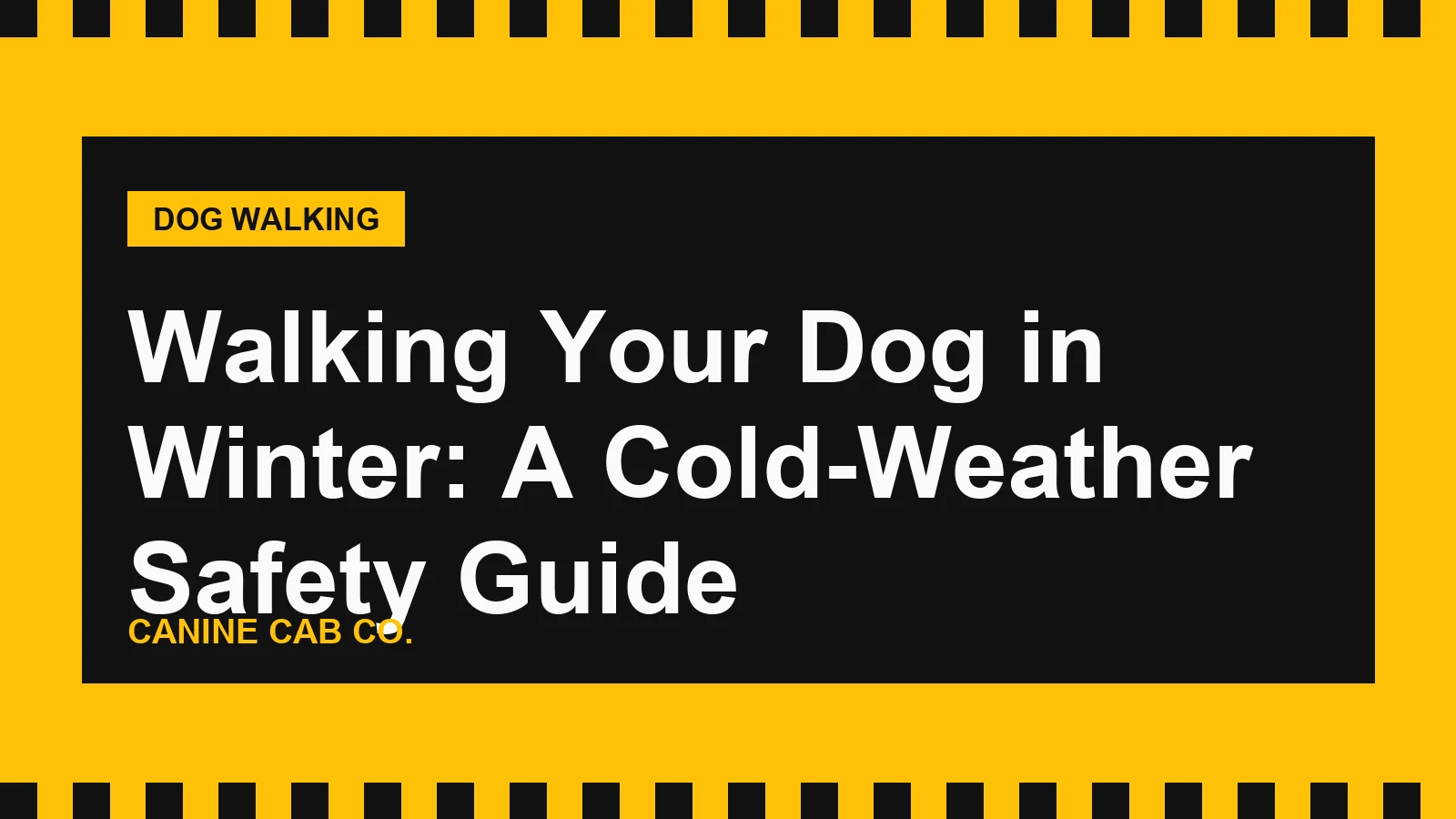 Walking Your Dog in Winter: A Cold-Weather Safety Guide