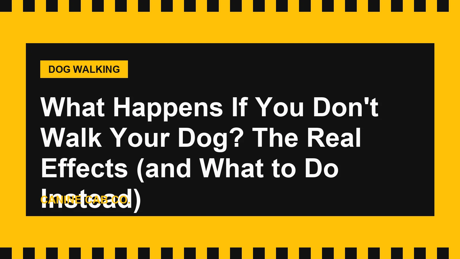 What Happens If You Don't Walk Your Dog? The Real Effects (and What to Do Instead)