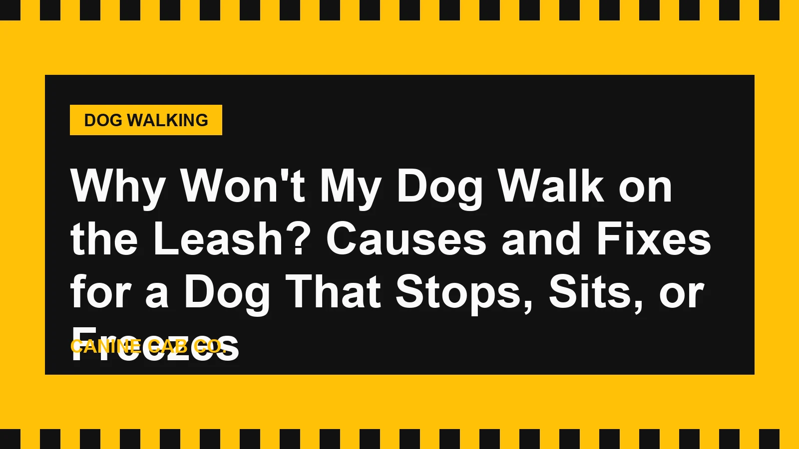 Why Won't My Dog Walk on the Leash? Causes and Fixes for a Dog That Stops, Sits, or Freezes