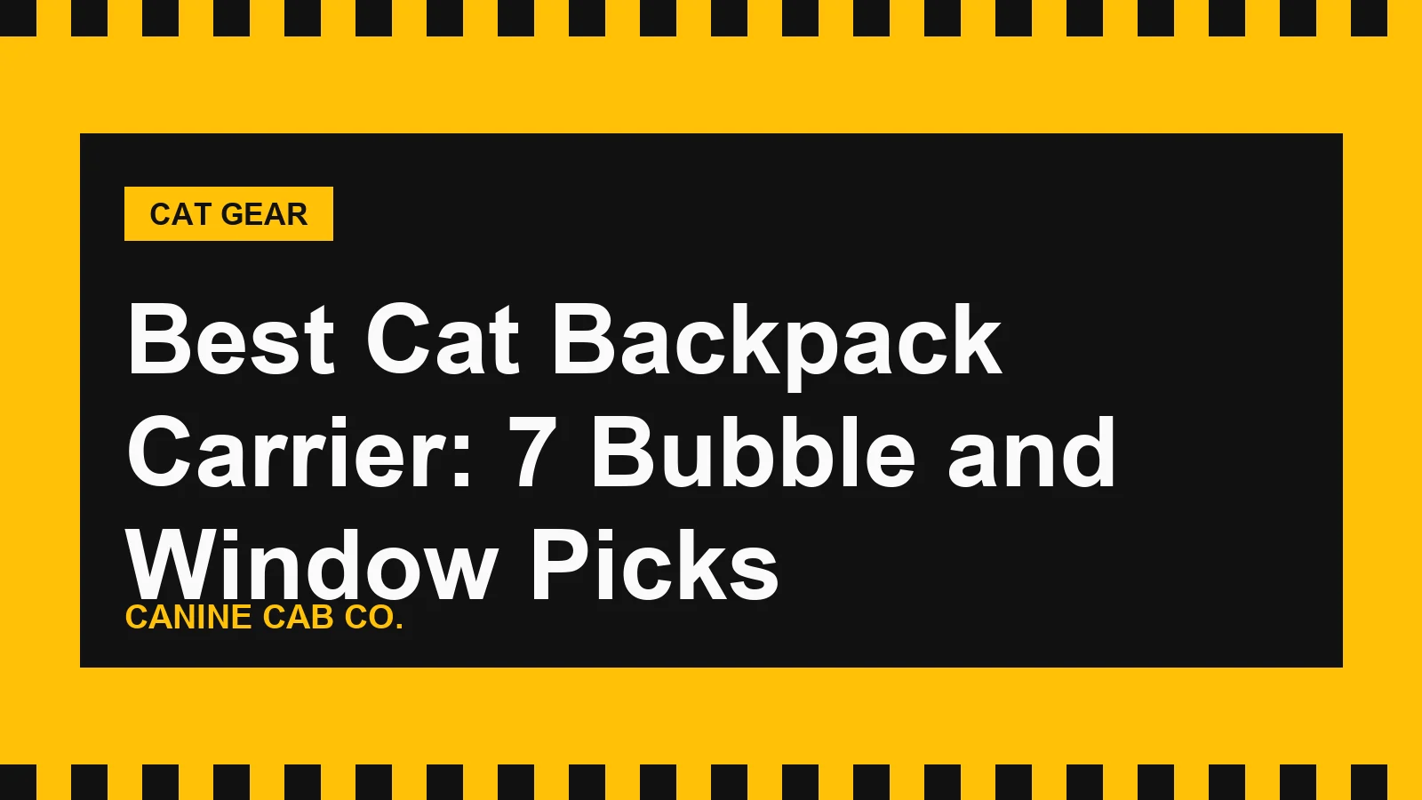 Best Cat Backpack Carrier: 7 Bubble and Window Picks