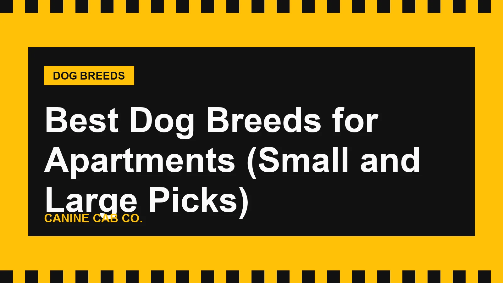 Best Dog Breeds for Apartments (Small and Large Picks)
