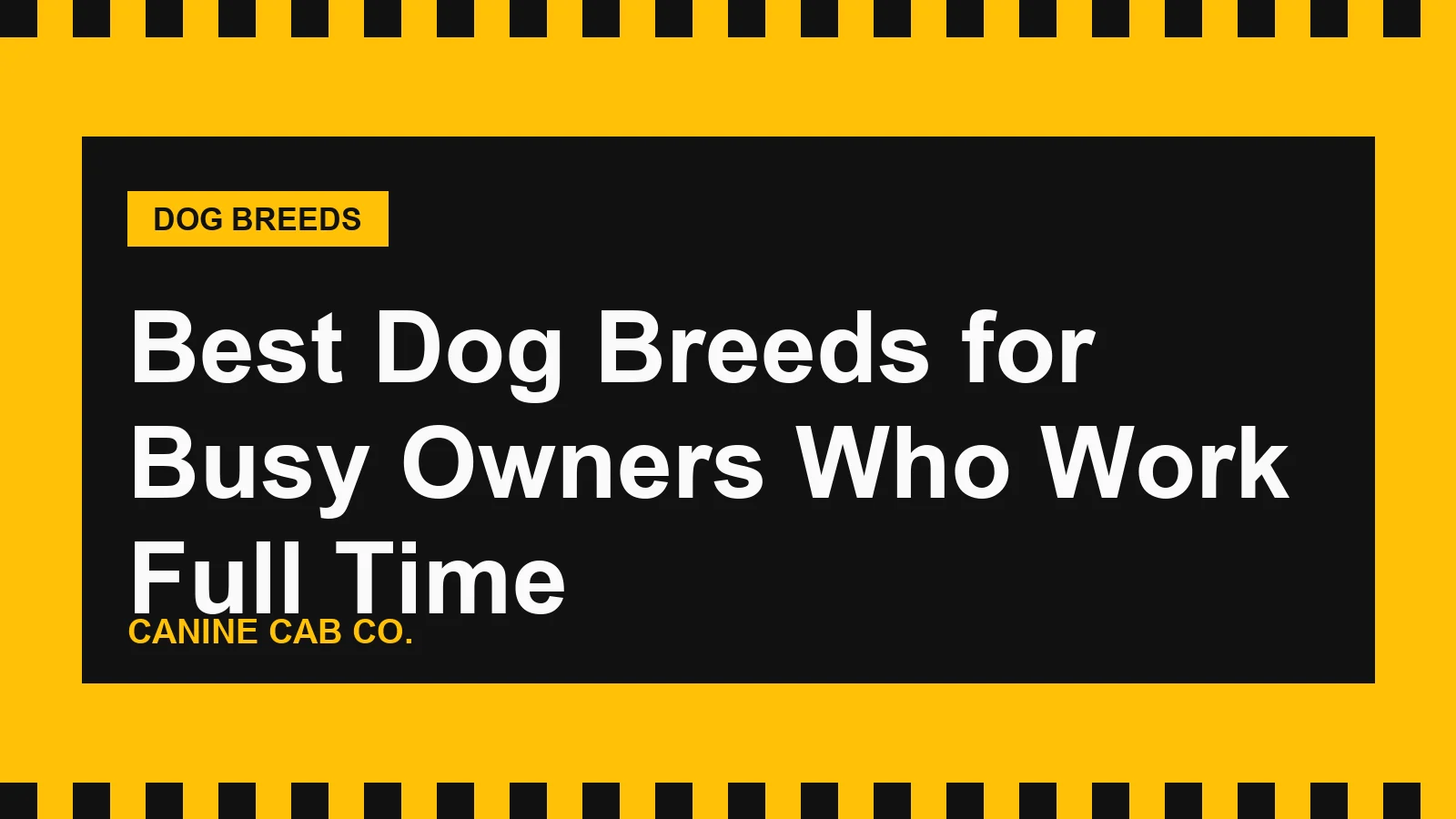 Best Dog Breeds for Busy Owners Who Work Full Time