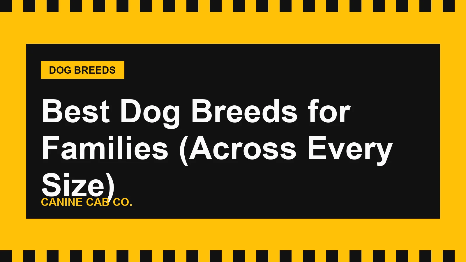 Best Dog Breeds for Families (Across Every Size)
