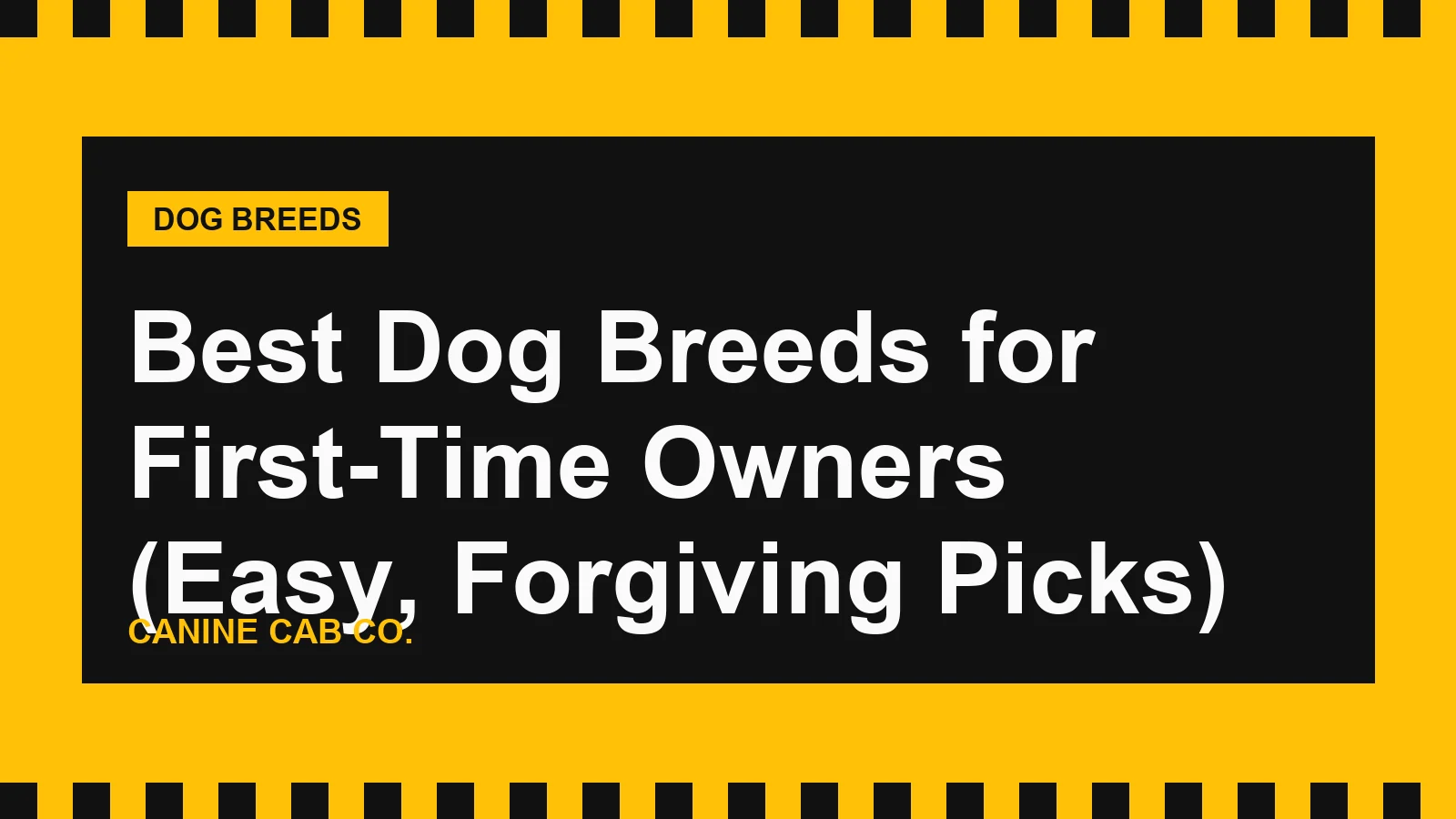 Best Dog Breeds for First-Time Owners (Easy, Forgiving Picks)