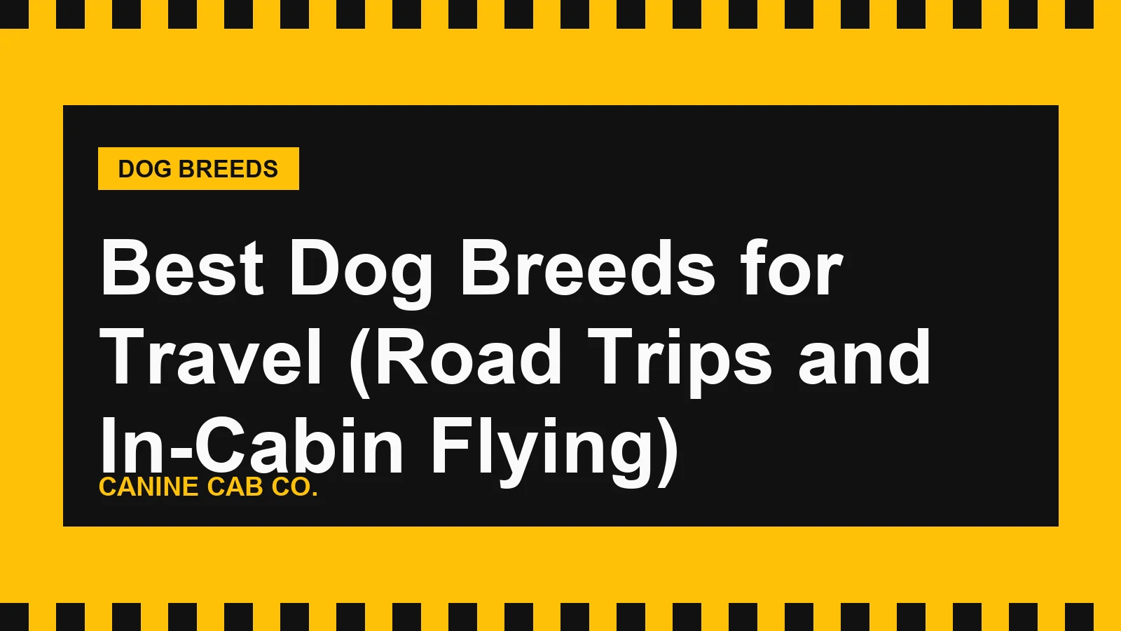 Best Dog Breeds for Travel (Road Trips and In-Cabin Flying)
