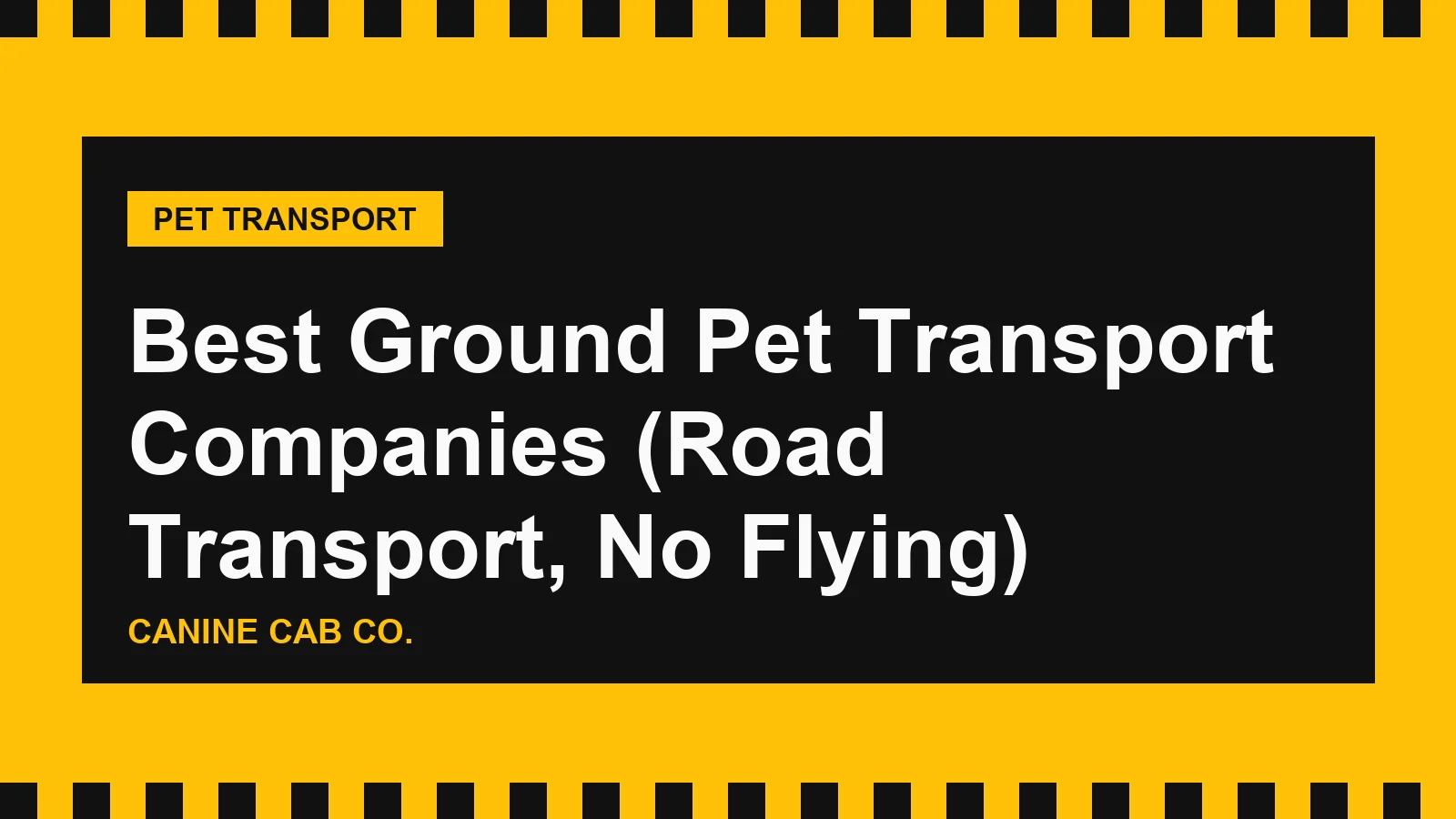 Best Ground Pet Transport Companies (Road Transport, No Flying)