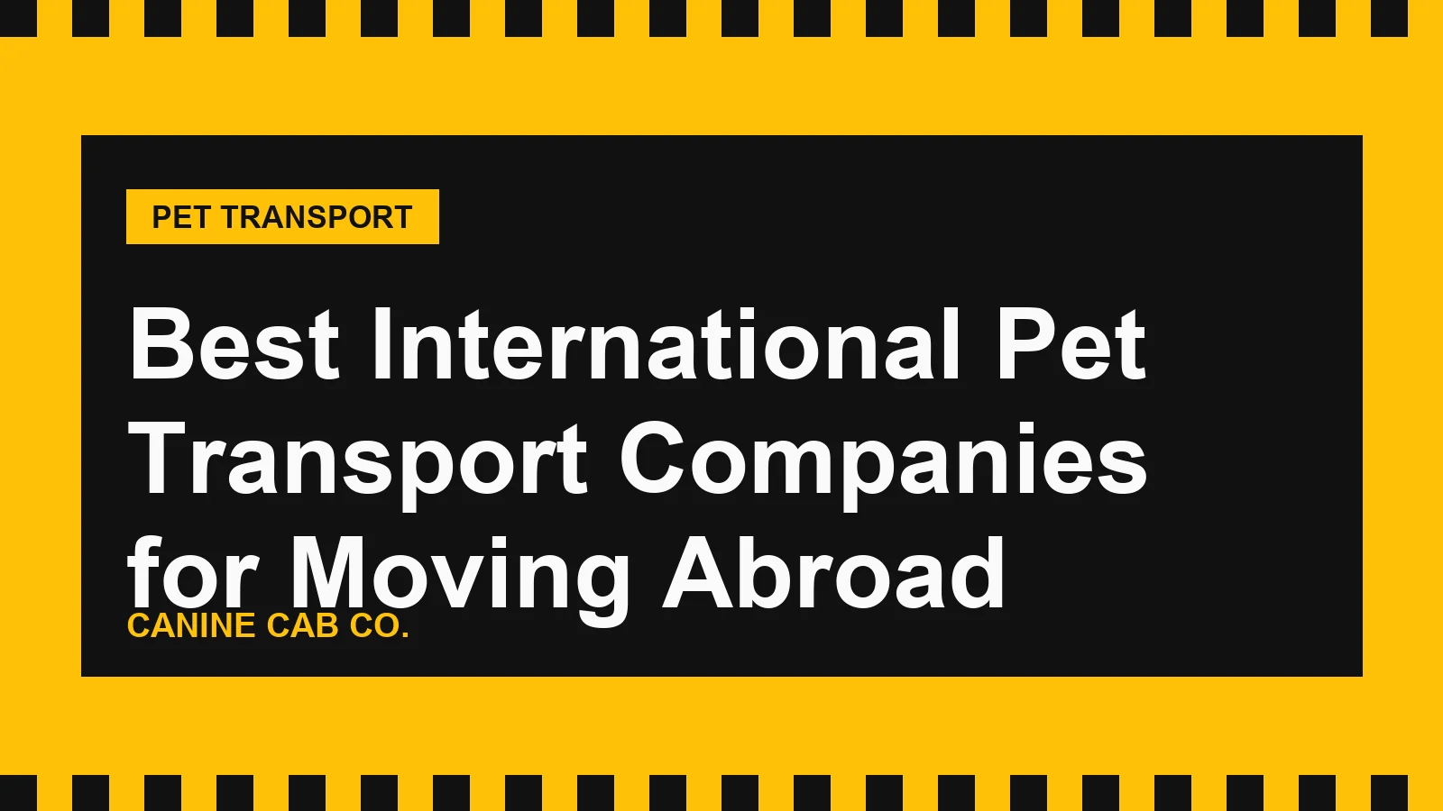Best International Pet Transport Companies for Moving Abroad