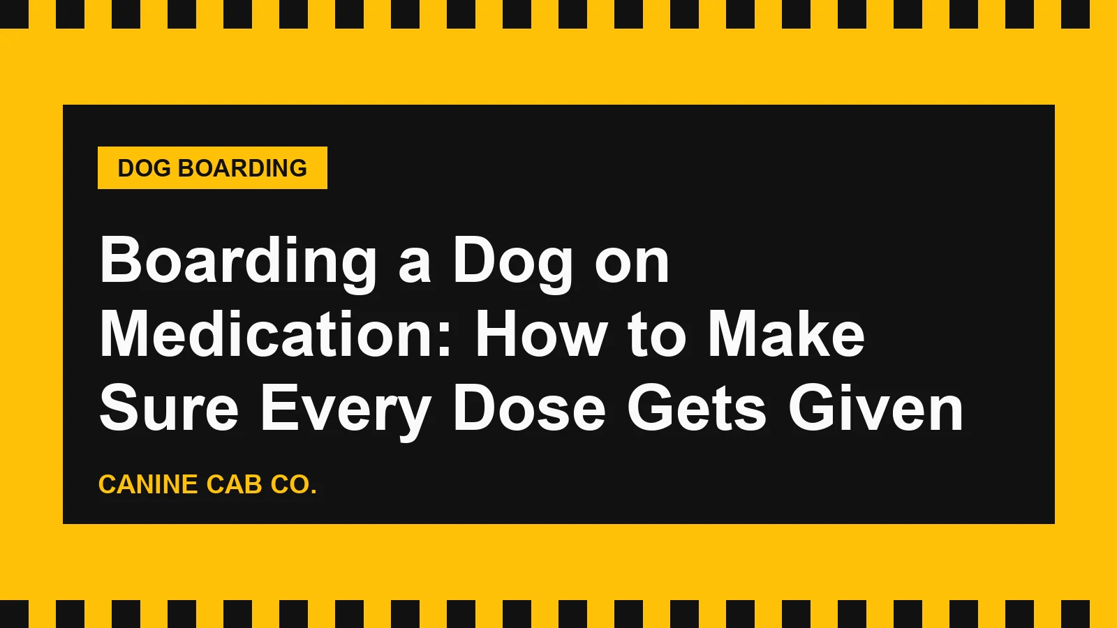 Boarding a Dog on Medication: How to Make Sure Every Dose Gets Given