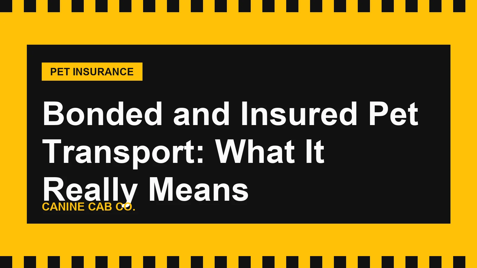Bonded and Insured Pet Transport: What It Really Means
