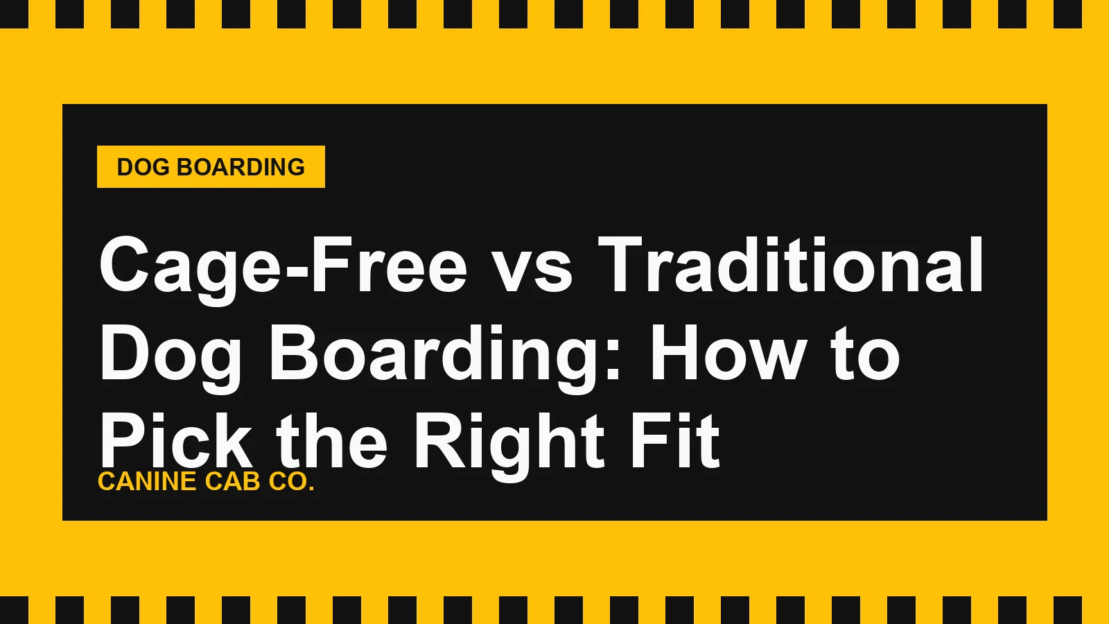 Cage-Free vs Traditional Dog Boarding: How to Pick the Right Fit