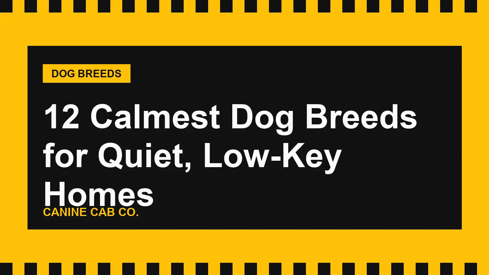 12 Calmest Dog Breeds for Quiet, Low-Key Homes