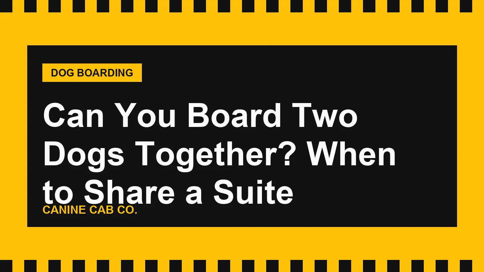 Can You Board Two Dogs Together? When to Share a Suite