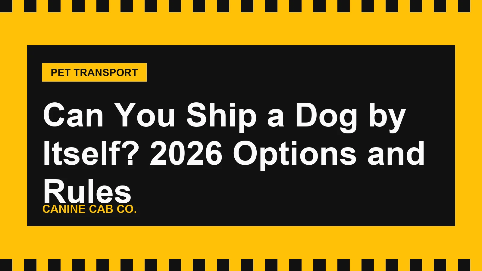 Can You Ship a Dog by Itself? 2026 Options and Rules