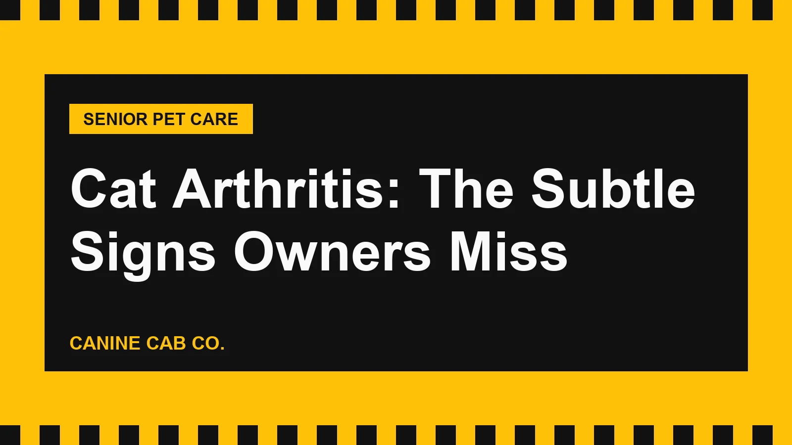 Cat Arthritis: The Subtle Signs Owners Miss
