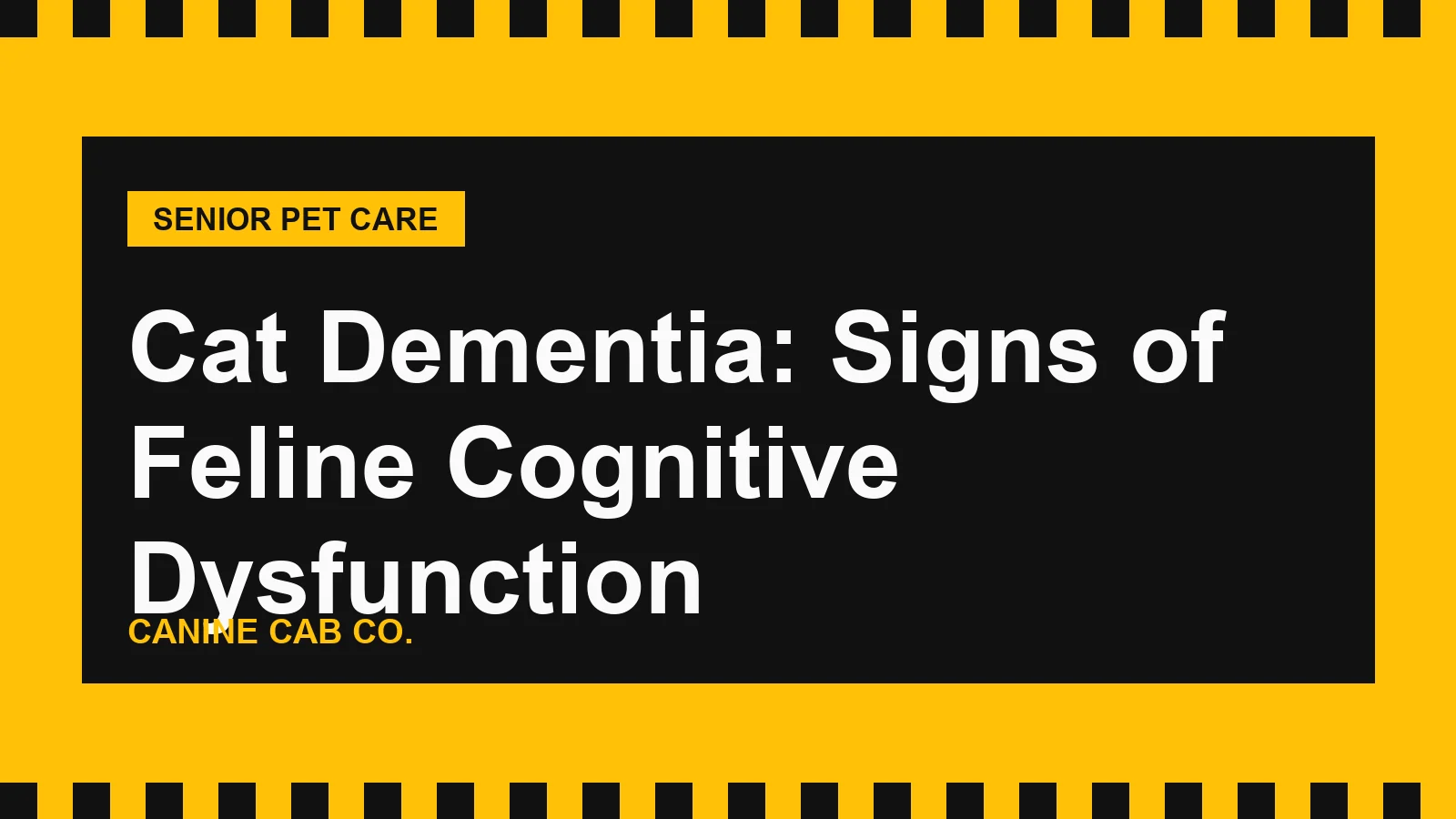 Cat Dementia: Signs of Feline Cognitive Dysfunction